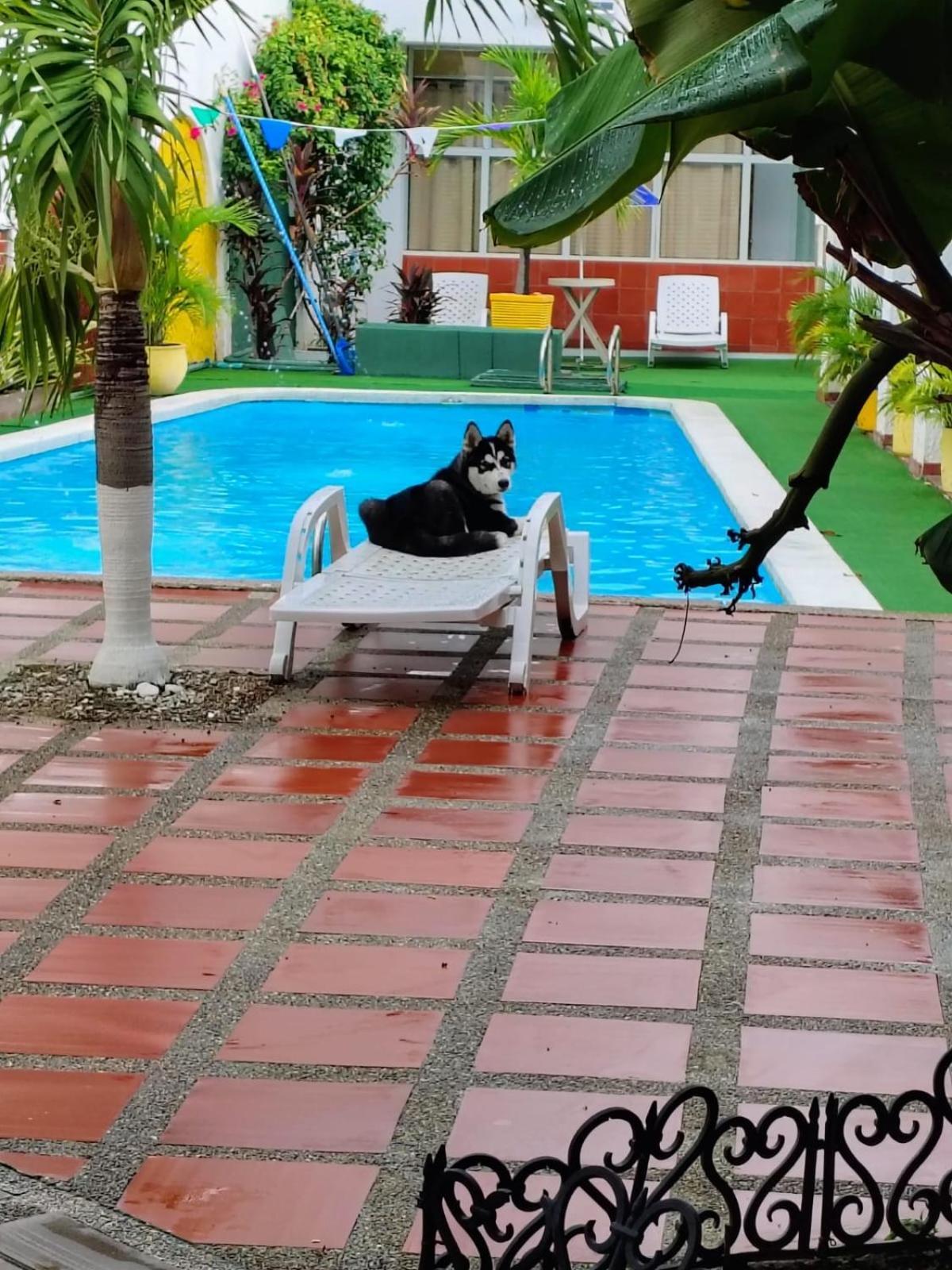 The Chill In Mansion Hostel Santa Marta Exteriör bild